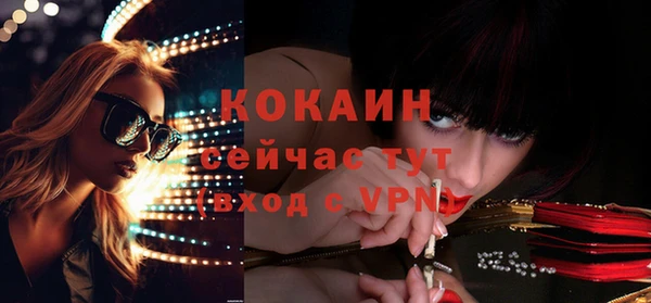 ешки Вязьма