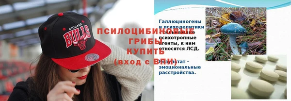 СК Вязники