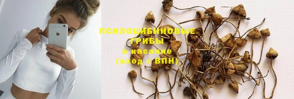 СК Вязники