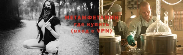прущие грибы Вяземский