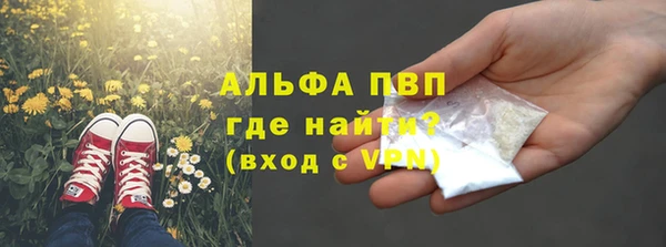 прущие грибы Вяземский