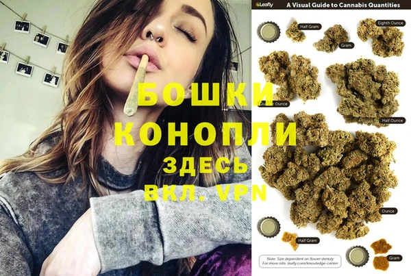 прущие грибы Вяземский