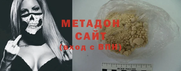прущие грибы Вяземский