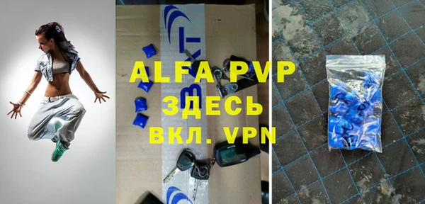 прущие грибы Вяземский