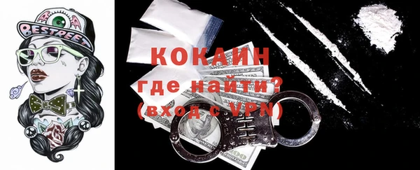 прущие грибы Вяземский