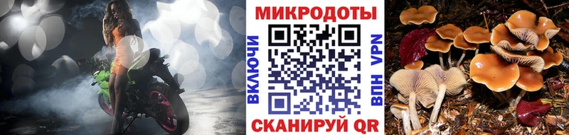 Псилоцибиновые грибы MAGIC MUSHROOMS нарко площадка состав Волгореченск