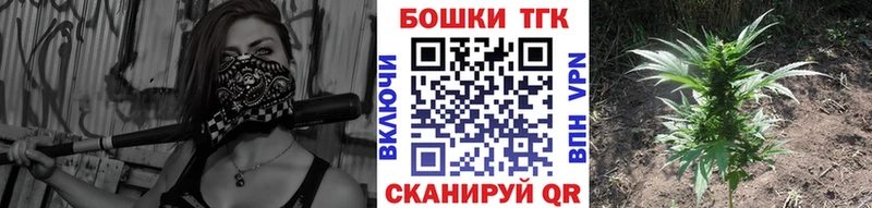 Бошки марихуана гибрид Волгореченск